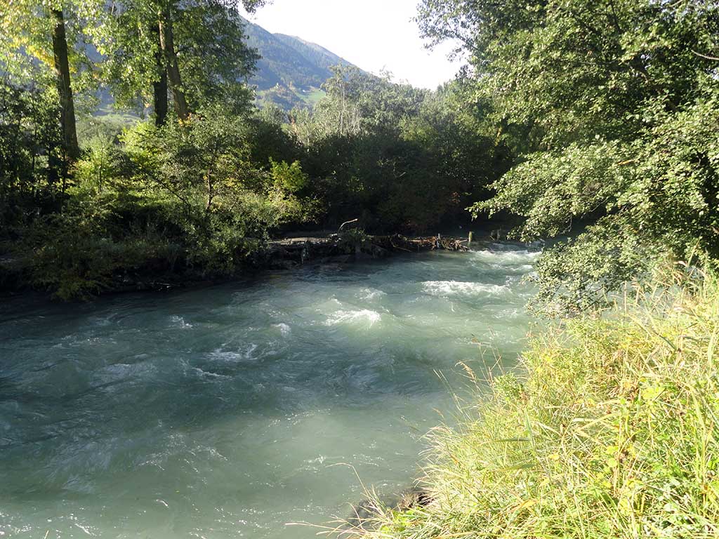 Fipsas Bolzano